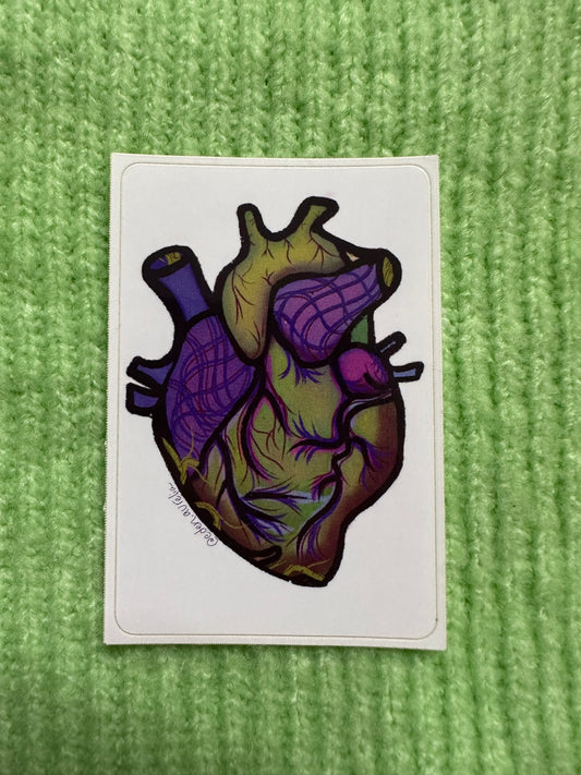 Anatomical Heart sticker